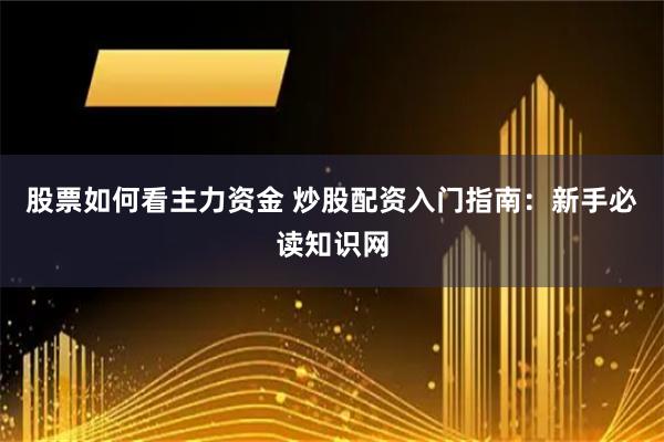 股票如何看主力資金 炒股配資入門指南：新手必讀知識網